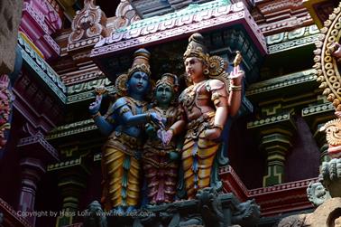 Meenakshi Temple, Madurai,_DSC_8092_H600